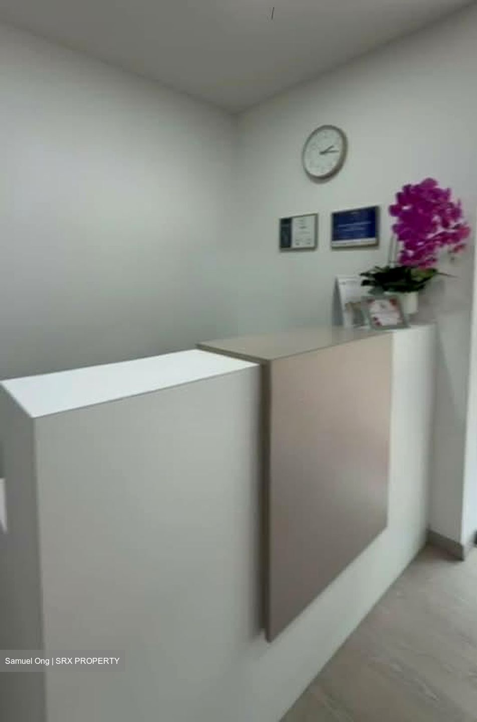 Jurong East Ville (D22), Shop House #559663291